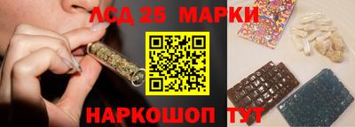СК Новозыбков
