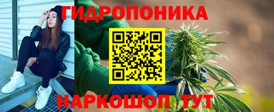 СК Новозыбков