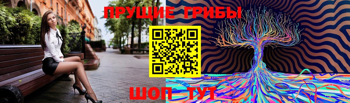 Псилоцибиновые грибы GOLDEN TEACHER Стрежевой